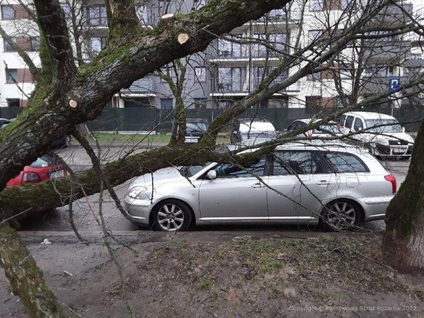 Minął rok od śnieżnej nawałnicy, która spustoszyła Polskę, w tym Łódzkie. Z jak niezwykłym zjawiskiem mieliśmy do czynienia? ZDJĘCIA, PRACA