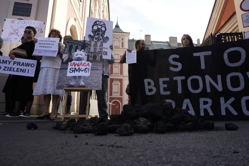 Poznań prowadzi antyekologiczną politykę? Tak twierdzą ekolodzy