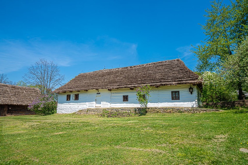 Skansen otwarty, ale na pewnych zasadach. Chętnych na rodzinny spacer nie brakowało [ZDJĘCIA]