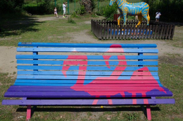 Kolorowe ławki w Nowym Zoo w Poznaniu