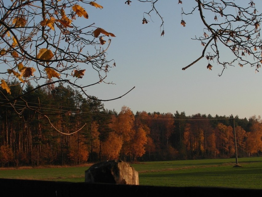 Jesień w miejscowości Barczew – Niebiose