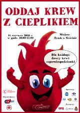  „Oddaj krew z Cieplikiem” - wakacyjna akcja zbiórki krwi 