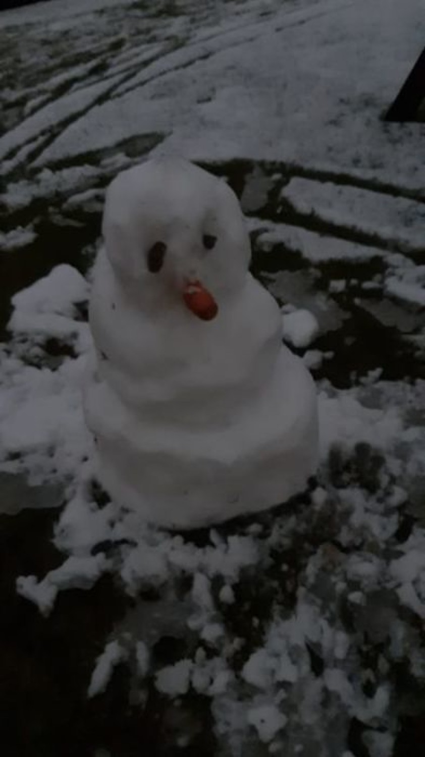 Podsumowanie Konkursu na „Najpiękniejszą Figurę Śniegową” w Dziemianach. Zobacz niezwykłe zdjęcia