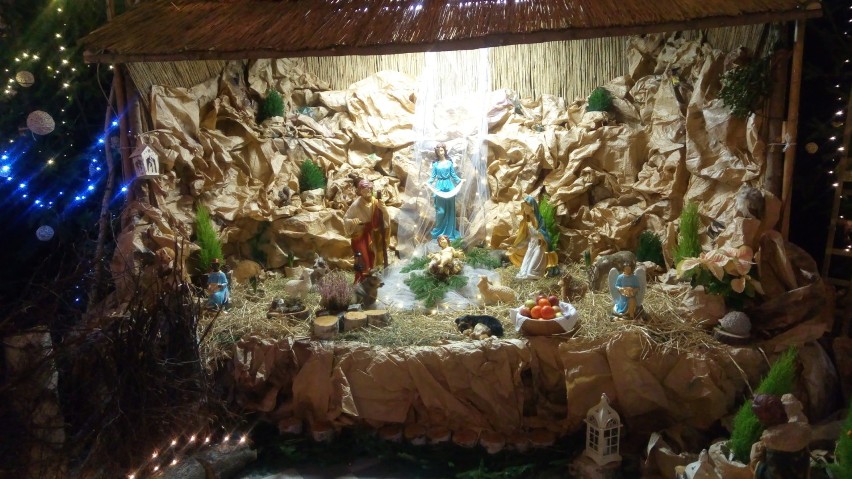 Czeladź: szopka bożonarodzeniowa w kościele pw. św. Stanisława BM [ZDJĘCIA] 