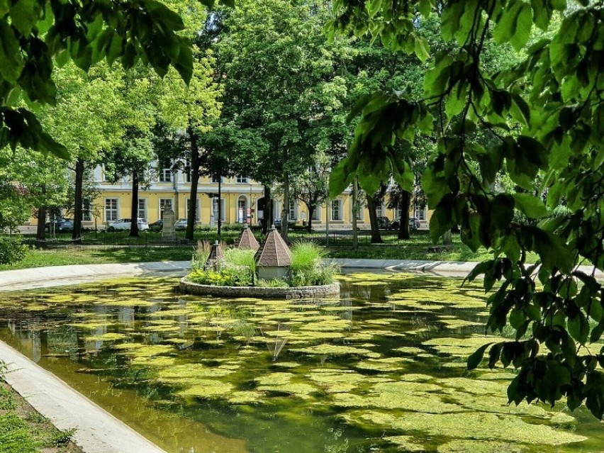 W ramach programu Zielone Leszno zrewitalizowano park na...