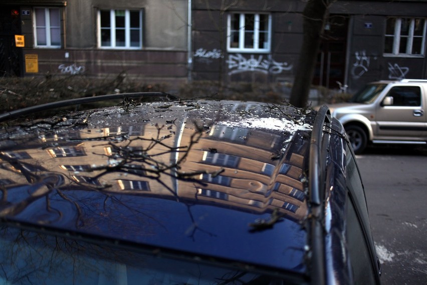 Kraków: spróchniałe drzewo spadło na cztery samochody [ZDJĘCIA]