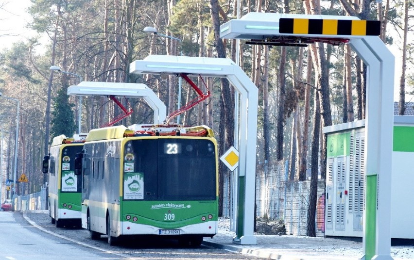 Każdego dnia z autobusów MZK w Zielonej Górze korzysta wielu...