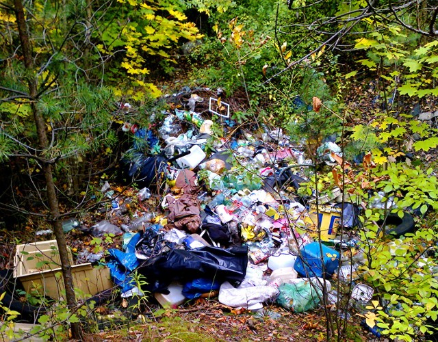 Śmieci w naszym mieście nie brakuje, a nie lądują one na wysypiskach