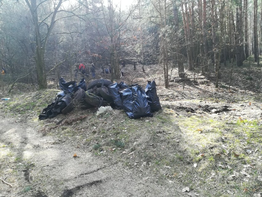 Ponad 100 osób sprzątało las w okolicy Wielunia FOTO