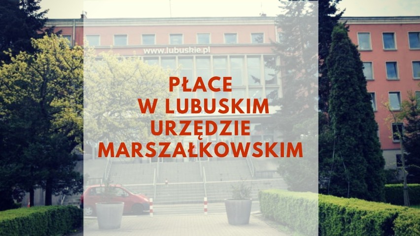 W Lubuskim Urzędzie Marszałkowskim pracuje 736 osób (wg...