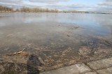 Chełmno - Świecie. Rośnie poziom wody w Wiśle. Rzeka wylewa. Zdjęcia