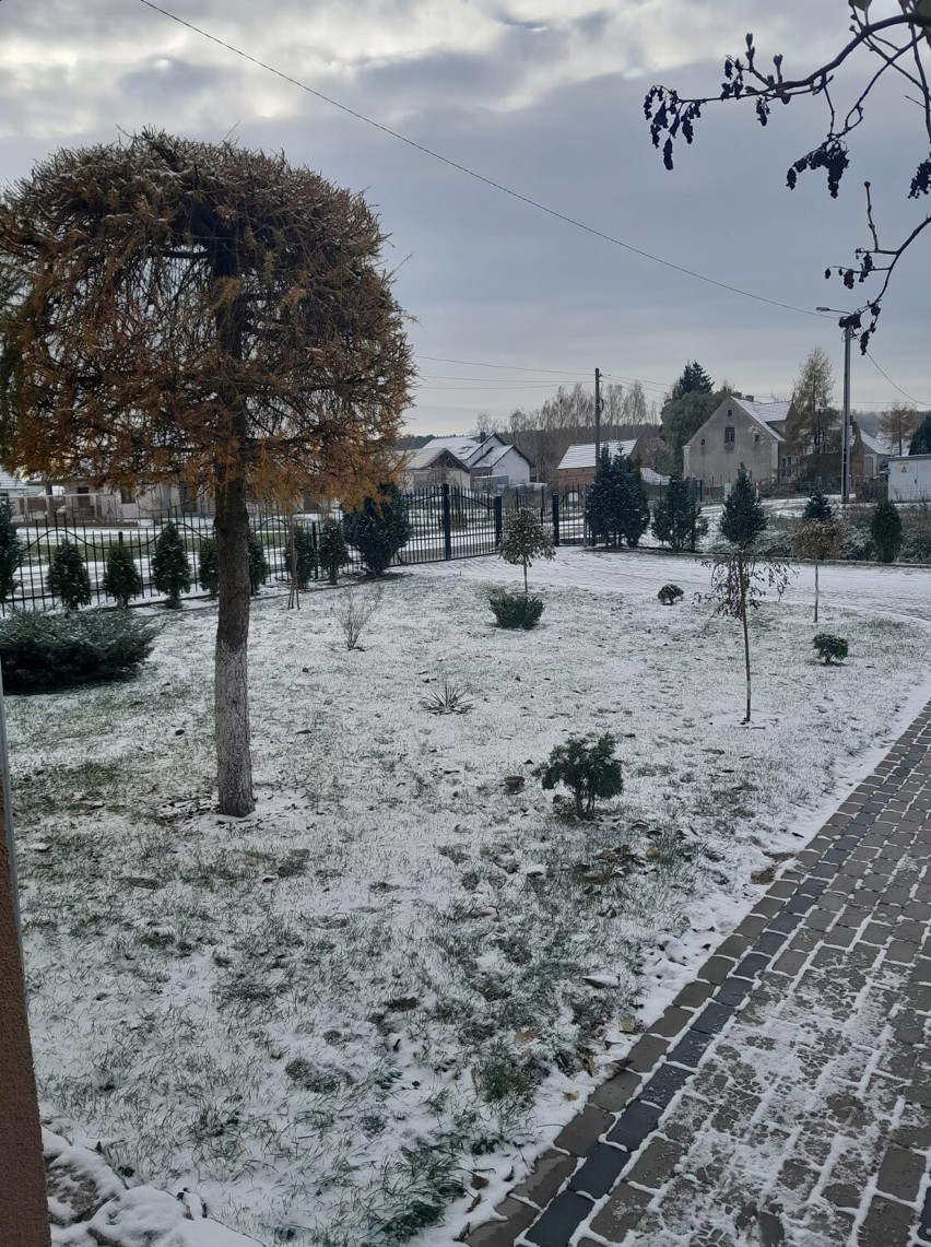 Pierwszy śnieg w obiektywie mieszkańców Krosna Odrzańskiego,...