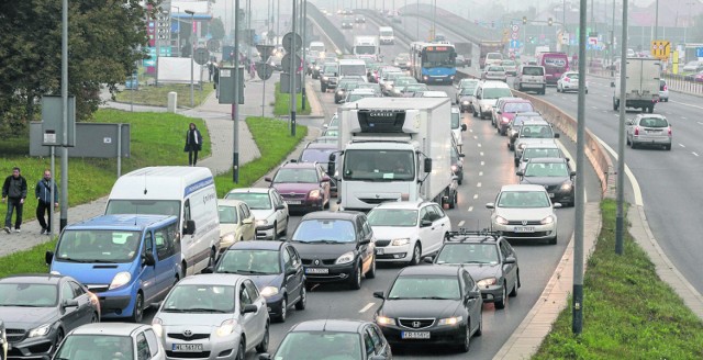 Zdaniem naukowców konieczne jest wyeliminowanie z ulic trujących gratów, a także udrożnienie arterii komunikacyjnych