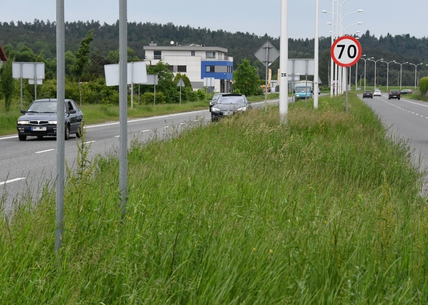 Skoszenia wymaga ulica Krakowska na Białogonie.

>>> ZOBACZ...