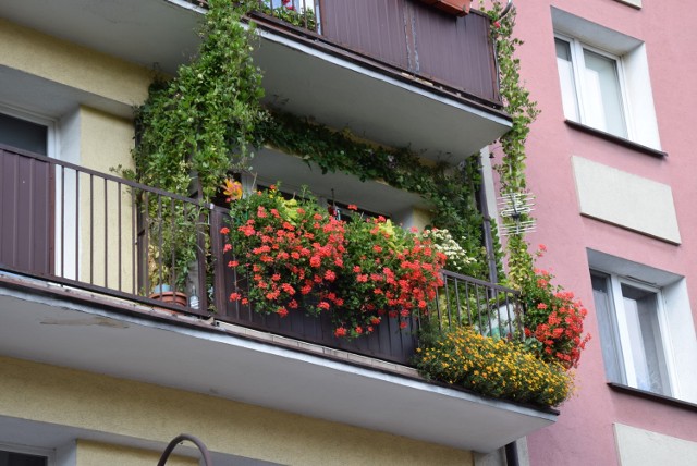 Zobacz najpiękniejsze balkony i loggie w Kaliszu
