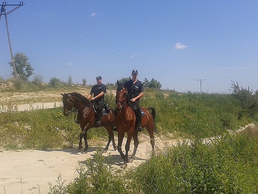 Policjanci na koniach patrolują woj. Podkarpackie