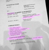 Najdziwniejsze podania o pracę. Co ludzie potrafią wpisać w CV [ZDJĘCIA]