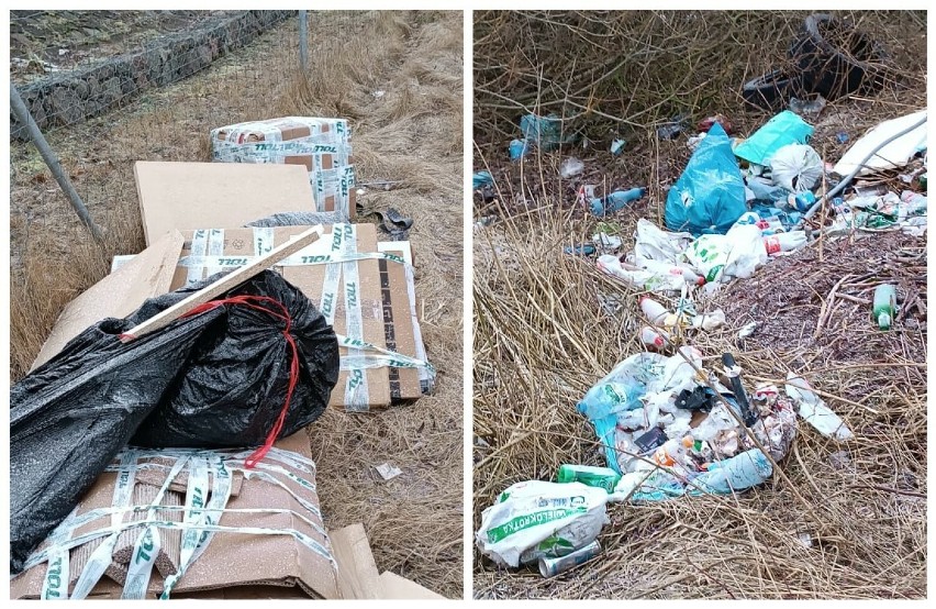 Kolejne porzucone śmieci w gminie Pruszcz Gdański