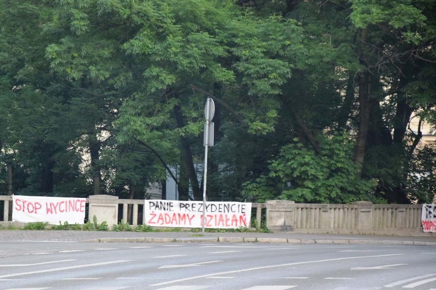 Na wieść o planowanej wycince drzew  mieszkańcy skupieni...