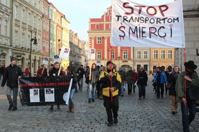 Na Starym Rynku zbierano podpisy pod petycją o wprowadzenie ...