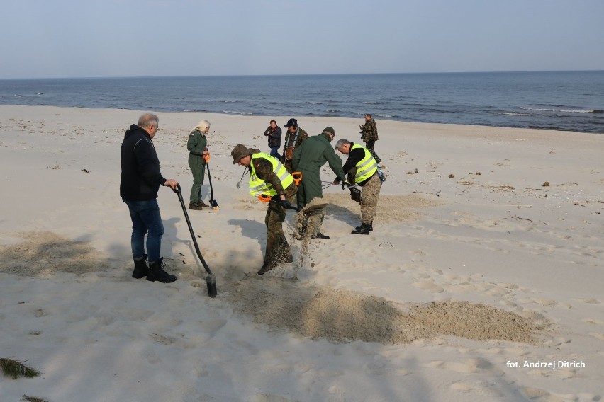 Mierzeja Wiślana. Grupa eksploratorów z grupy "Niebieskie Berety" szukała na plaży pozostałości z okresu II WŚ [ZDJĘCIA]