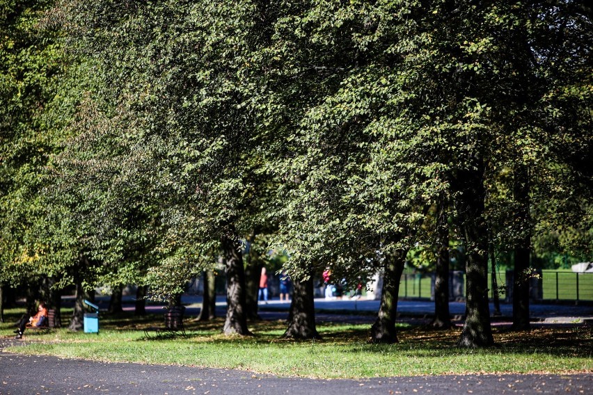 Piękny Park Śląski zaprasza na jesienny spacer! Zajrzyjcie tu! ZDJĘCIA