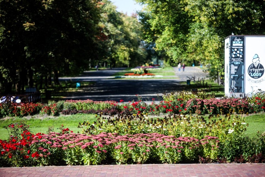 Piękny Park Śląski zaprasza na jesienny spacer! Zajrzyjcie tu! ZDJĘCIA