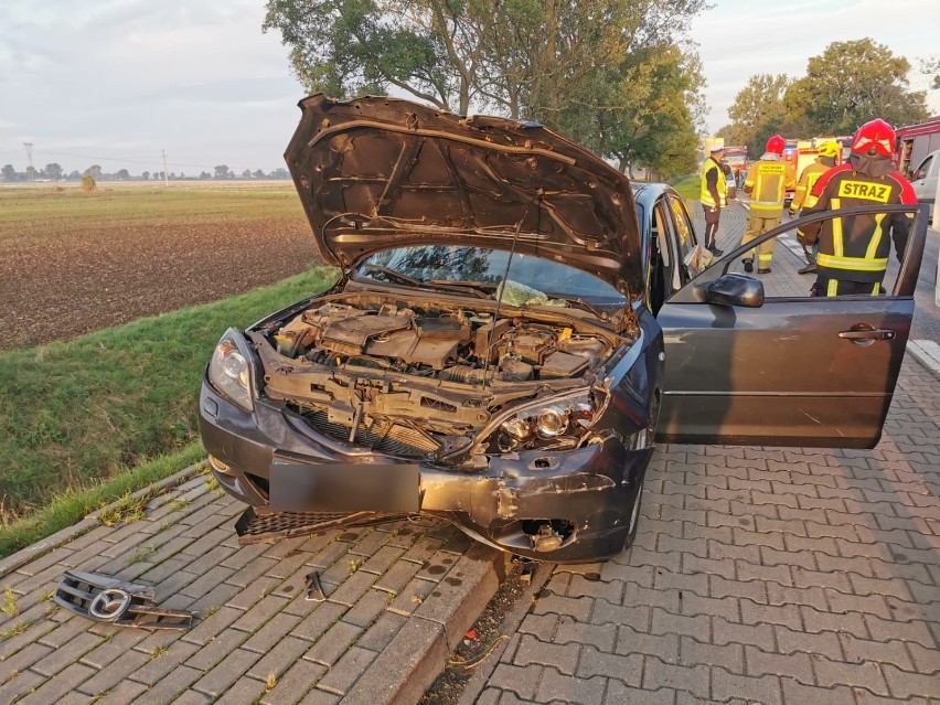 Gm. Malbork. Wypadek na drodze krajowej nr 22 [ZDJĘCIA]. Dwie osoby trafiły do szpitala