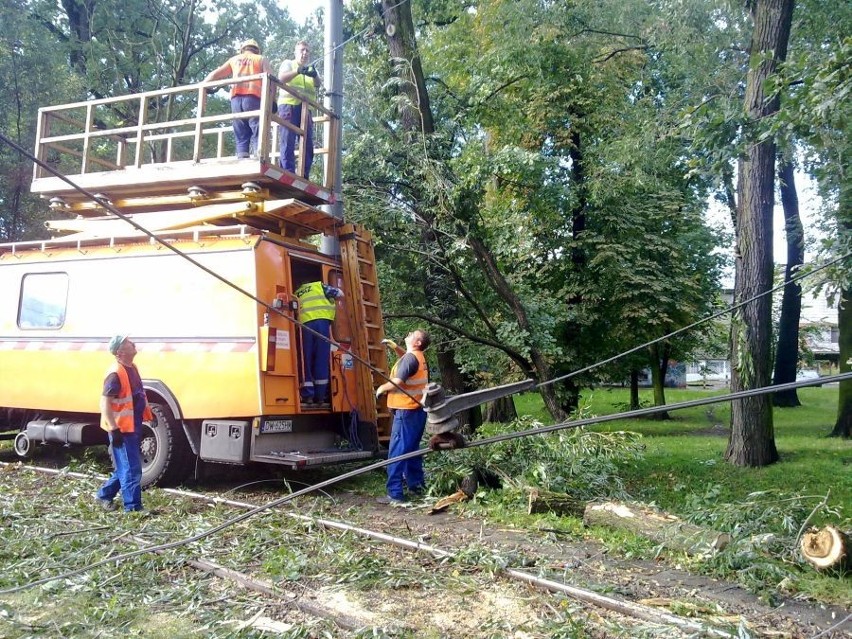 Wrocław: Stały tramwaje na Świdnckiej, nie dojeżdżały na Krzyki