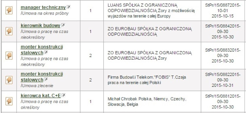 Aktualne oferty pracy w Żorach. Sprawdź, jakie są i ile można zarobić