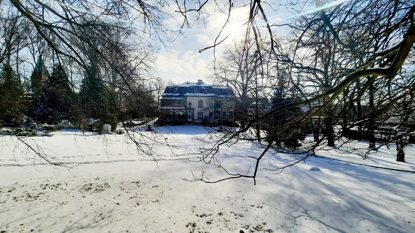 Muzealny ogród pod śniegiem wygląda niezwykle. Warto przyjść...