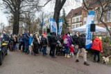 Choinka za surowce wtórne tym razem w Sopocie! Tłum mieszkańców miasta zyskał bożonarodzeniowe drzewka