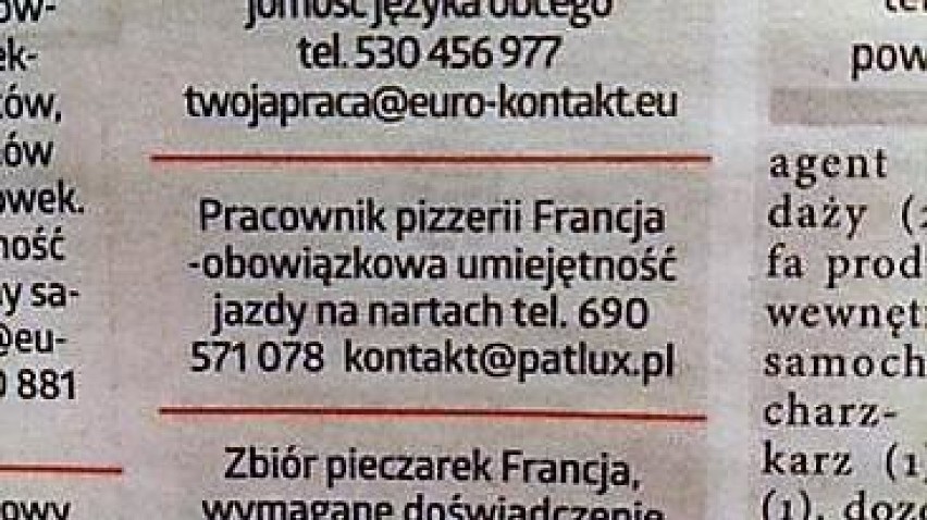 Z tych ogłoszeń śmieje się już ponad 27 tysięcy osób