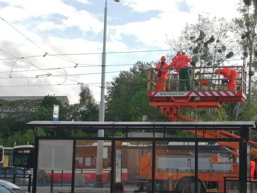 Gdańsk: Awaria sieci trakcyjnej unieruchomiła tramwaje w kierunku Moreny i Migowa. Komunikacja zastępcza na „Lawendowe Wzgórze”