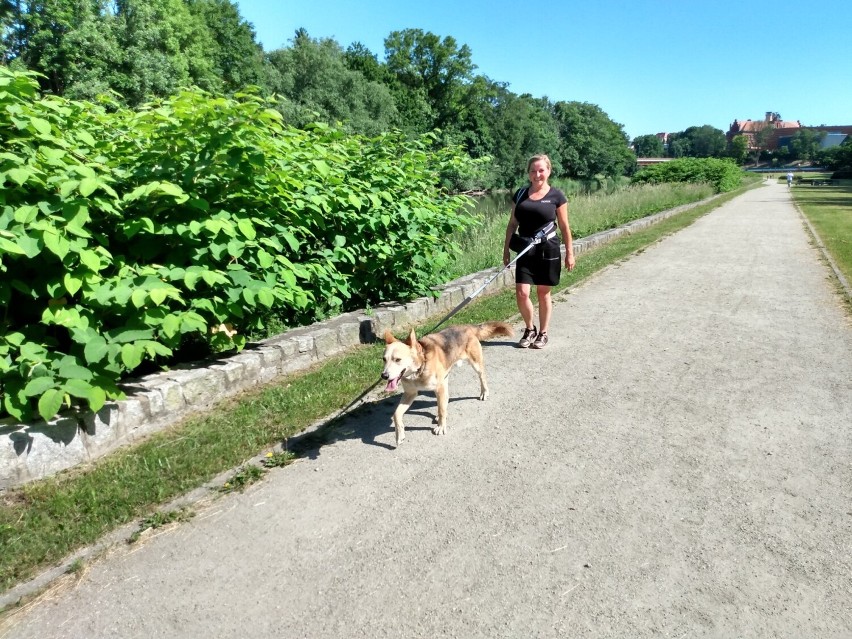 Oni dobrze zaczęli sobotę! Zgorzelecki parkrun coraz bardziej popularny. Burmistrz również spróbował swoich sił na 5 km