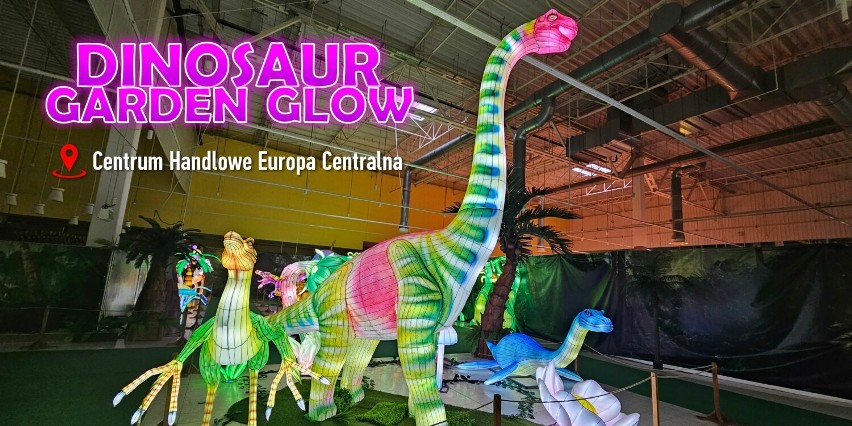 Świetlana wystawa Dinosaur Garden Glow                             
