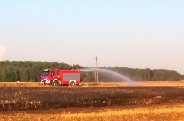 Pożar zauważono około godz. 19.30. Płonęło zboże i ściernisko koło wsi Zemsko w powiecie międzyrzeckim. Ogień objął pięć hektarów – cztery hektary pszenżyta i hektar ścierniska po skoszonym już zbożu.