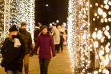 Świąteczne iluminacje w Parku Oliwskim. W wigilię będziemy dłużej podziwiać oświetlony park