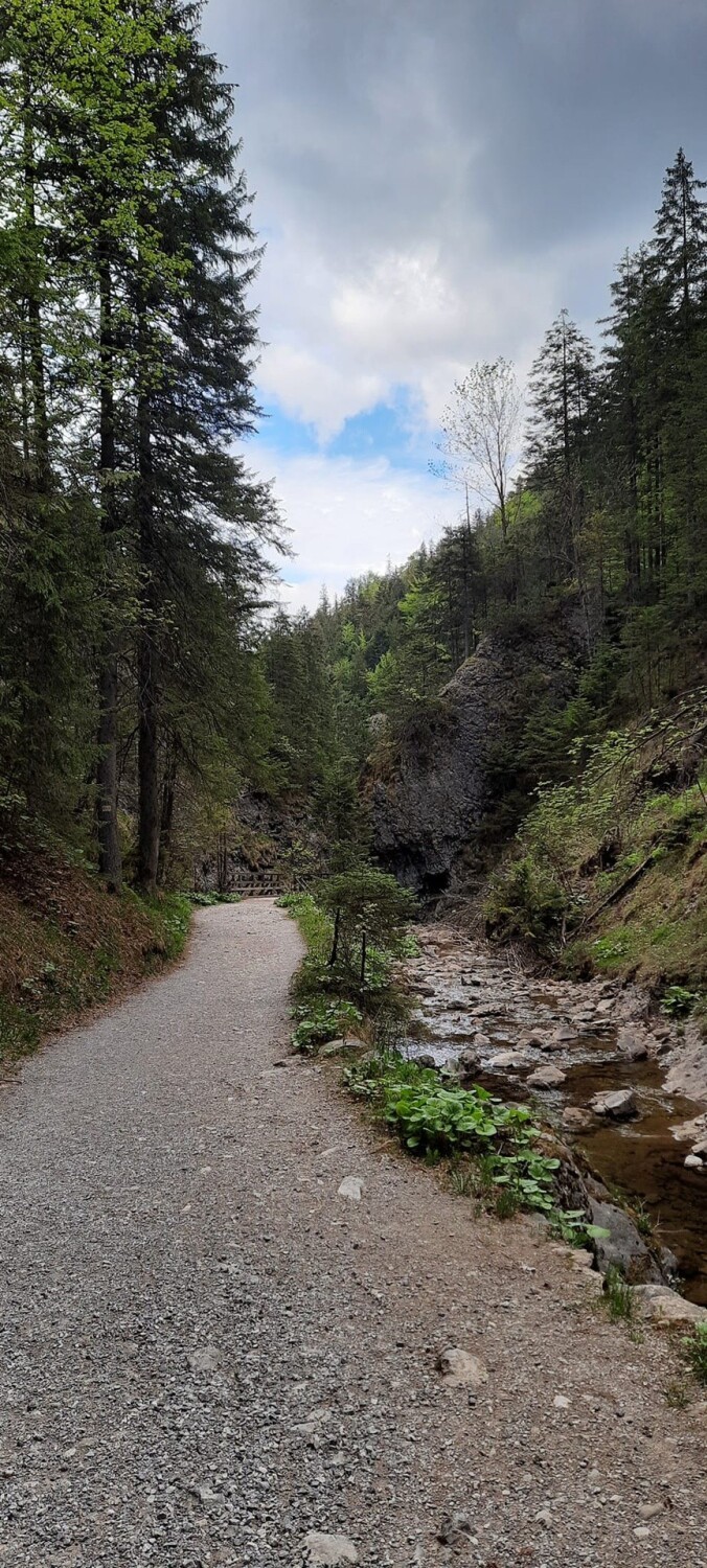 Tatry. Dolina Białego i Sarnia Skałka - warto tam iść teraz. Jest pięknie, a do tego całkowicie pusto 