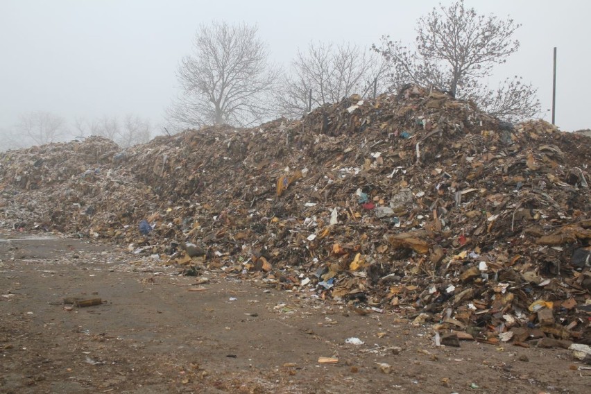 Tony śmieci trafiły na teren gminy Dąbrowa Biskupia. Zobaczcie zdjęcia
