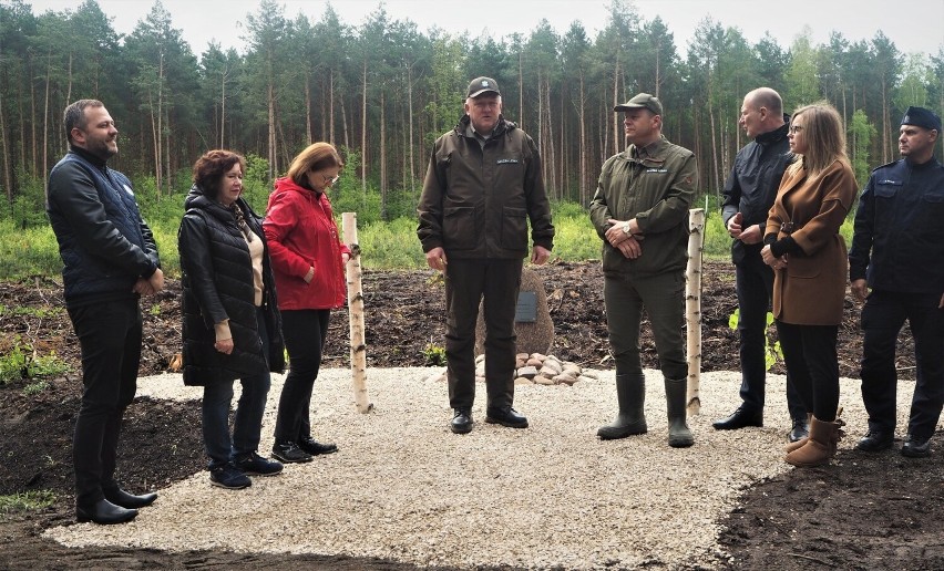 W okolicach Radomska sadzili "Las pamięci Jana Pawła II". To...