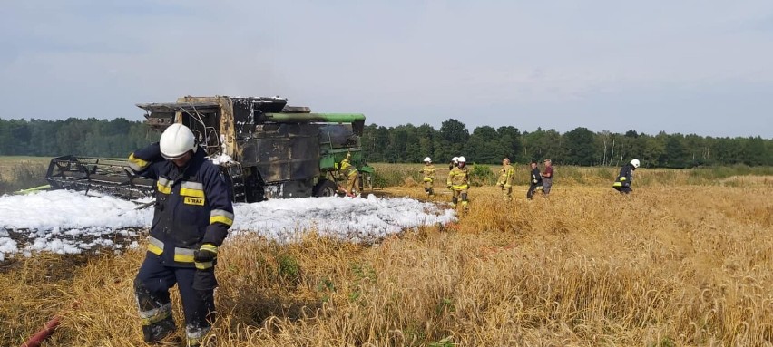 Gmina Kobylanka. W Niedźwiedziu zapalił się kombajn. Strażacy OSP i PSP w akcji                    