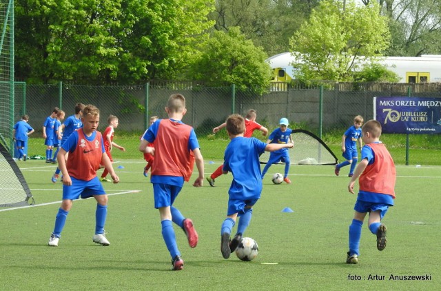 Ponad 60 adeptów piłki nożnej z Akademii Młodych Orłów wystartowało w turnieju, który rozegrany został w niedzielę na międzyrzeckim stadionie.