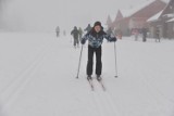 Jakuszyce pogoda: Śnieżyca w górach, poprawiają się warunki narciarskie ZDJĘCIA