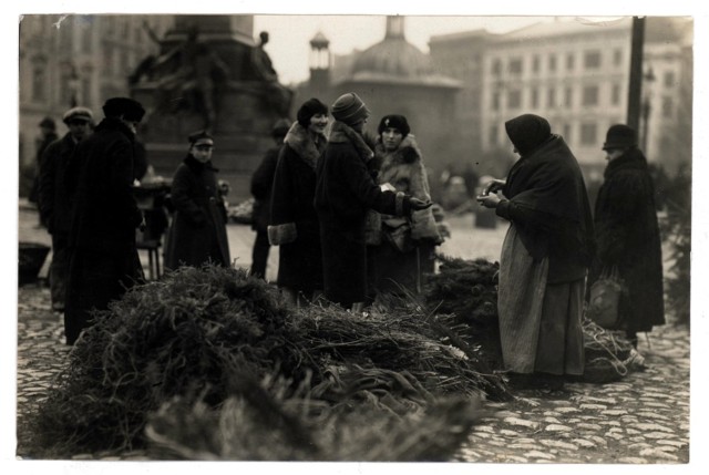 Sprzedaż choinek na Rynku Głównym, rok 1926, fot. Agencja Fotograficzna „Światowid”