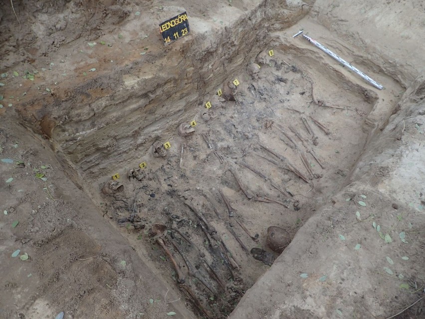 Pod Gnieznem znaleziono masowy grób żołnierzy