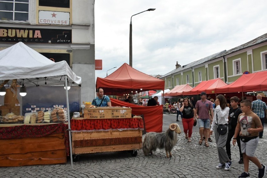 Chmielaki Krasnostawskie 2022. To będą trzy dni wypełnione muzyką i złocistym trunkiem. Nie będzie tylko wyborów Miss Chmielaków