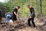 Leszno. Akcja sadzenia lasu i sprzątania miasta. Nasadzeń było w tym roku więcej niż wycinek - mówią leśnicy  ZDJĘCIA