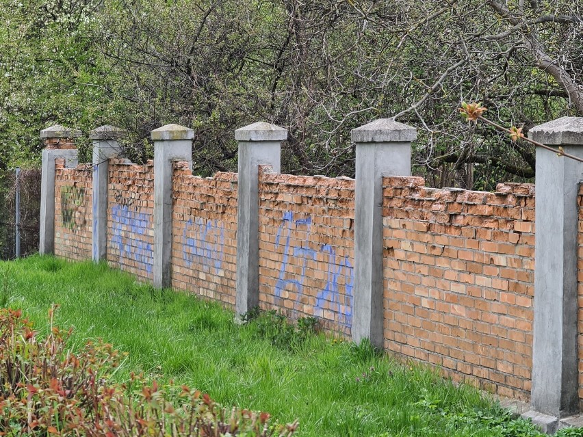 Mur toruńskiego cmentarza żydowskiego można uznać za ścianę...