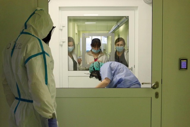 W związku z rosnącą liczbą zakażeń szpitale w Małopolsce wprowadzają na nowo ograniczenia w odwiedzinach chorych.